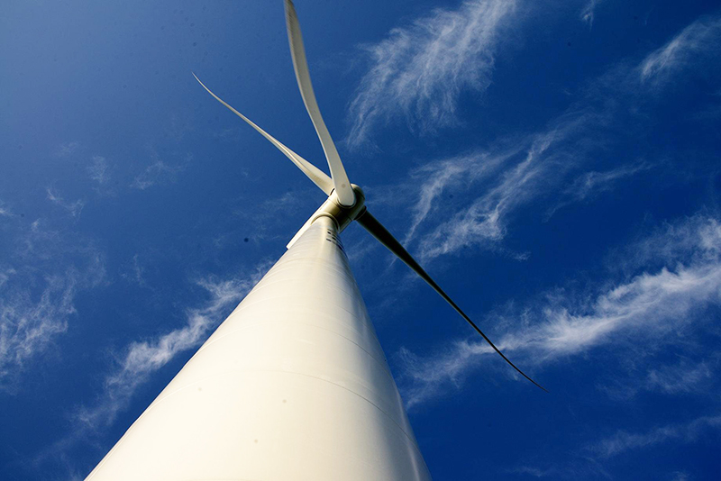 6018f420dea06.jpg 01-01.jpg